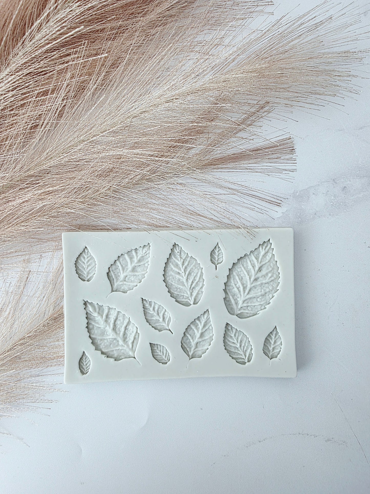 12 Assorted Leaf Silicone Mould